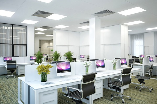 Organization of Workspace: Impact on Employee Productivity